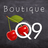 Logo de Boutique Q9
